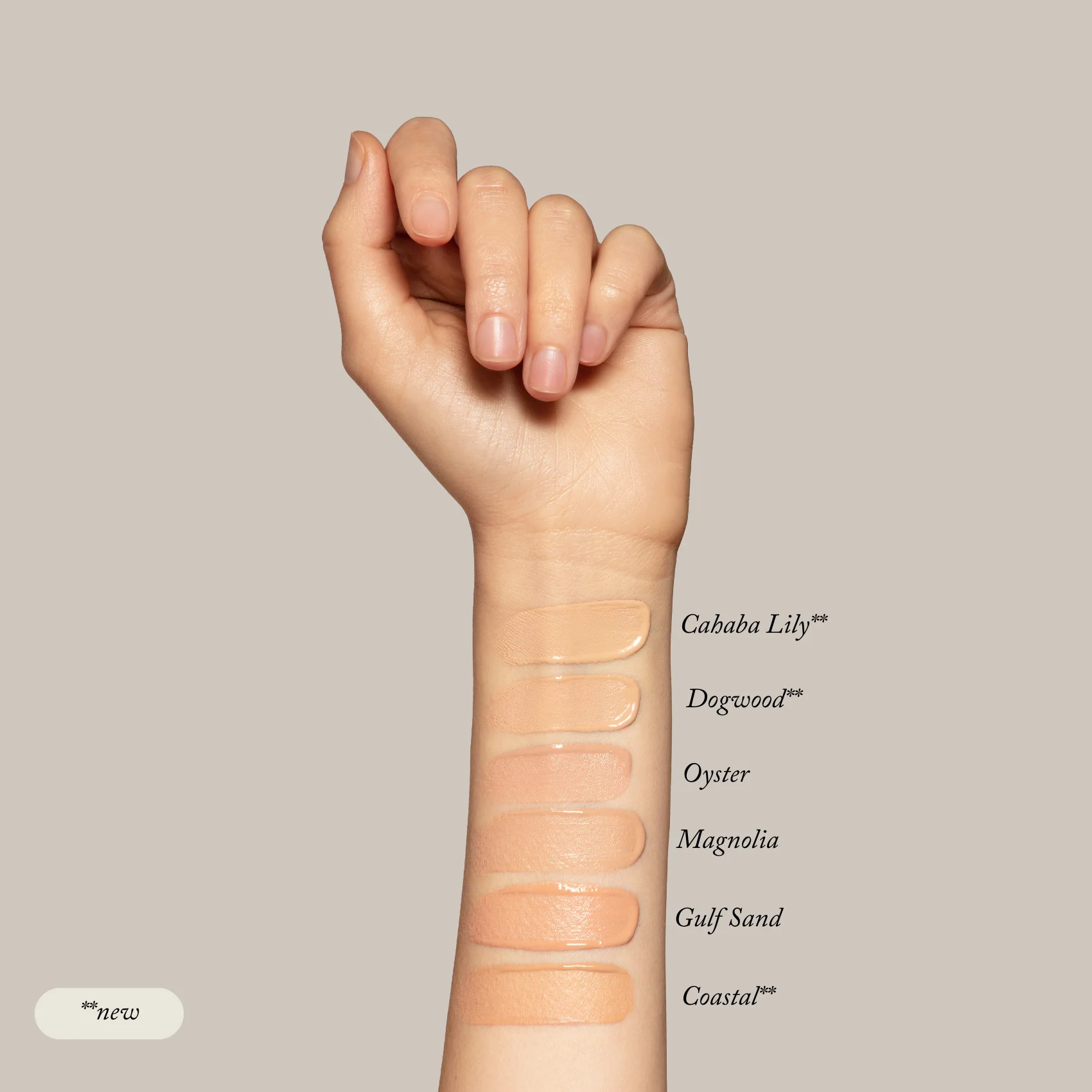 Sample Set - Liquid Foundation - Image 4